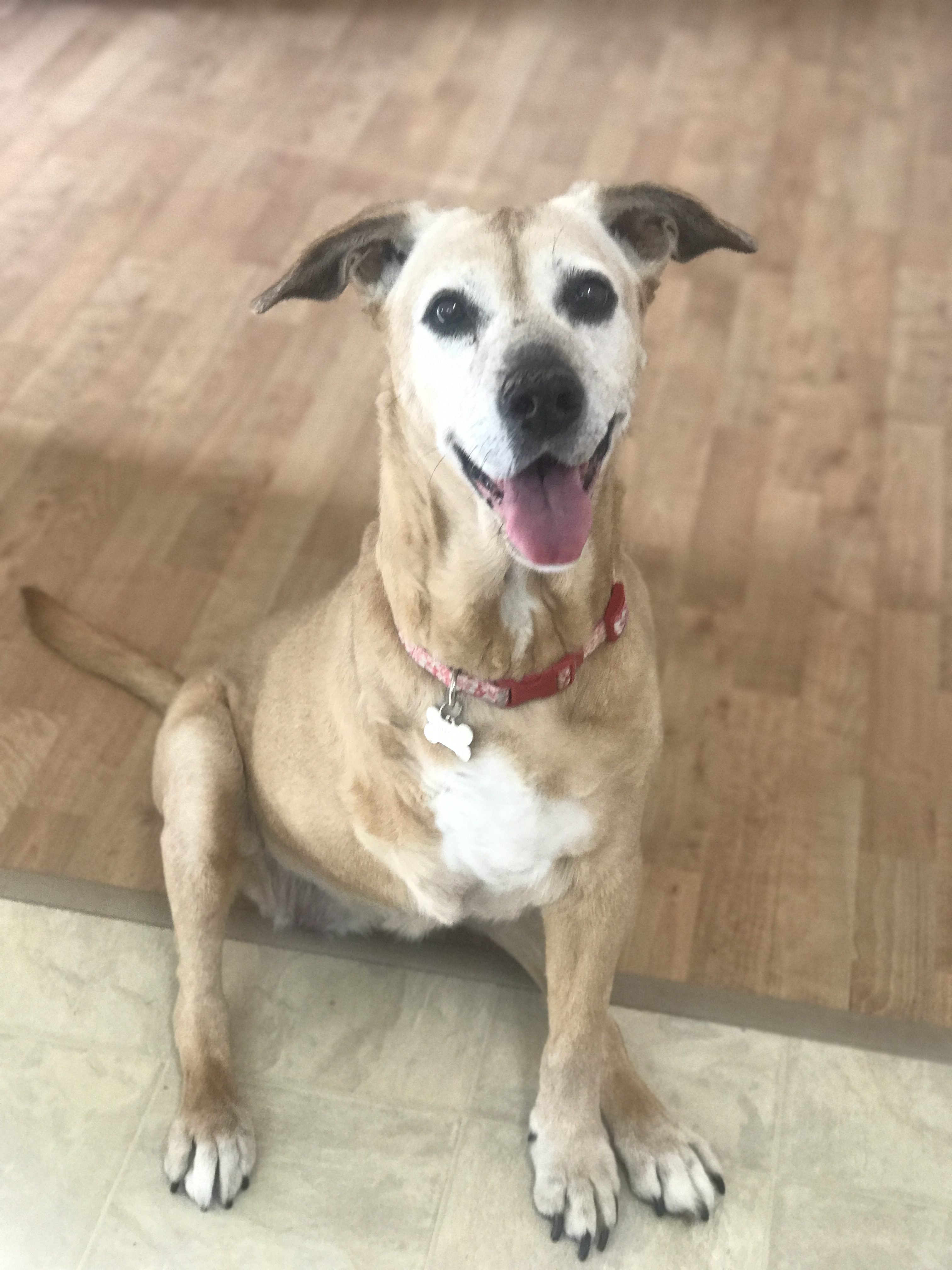 IMG 9296 E1519026984224