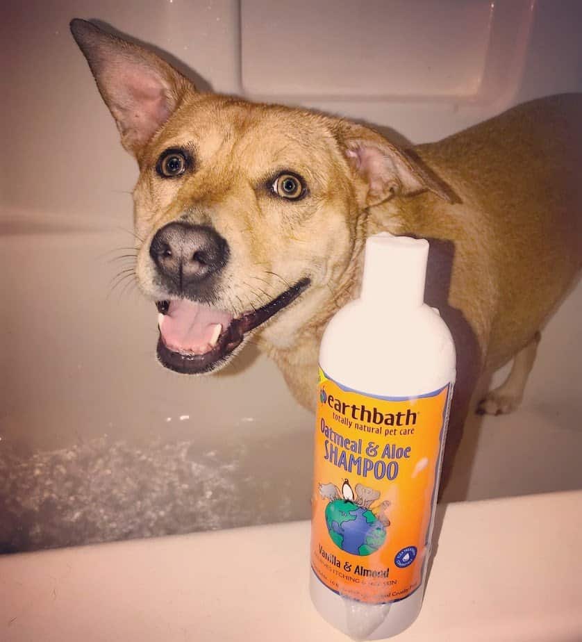 Roxy Earthbath Dog Shampoo