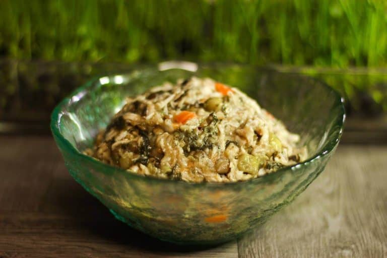 Healthy Instant Pot Dog Food Recipe Instant Pot Dog Food Recipe