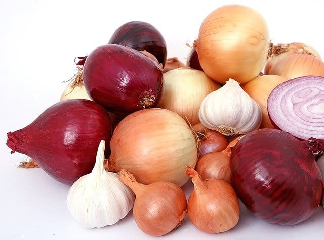 onions bad for dogs