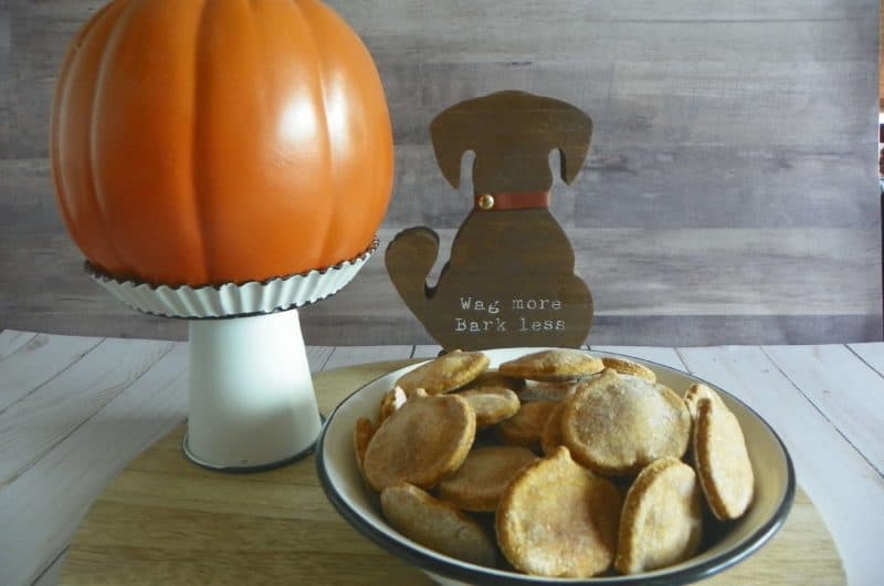 Perfectly Pumpkin Fall Dog Treats Perfectly Pumpkin Fall Dog Treats