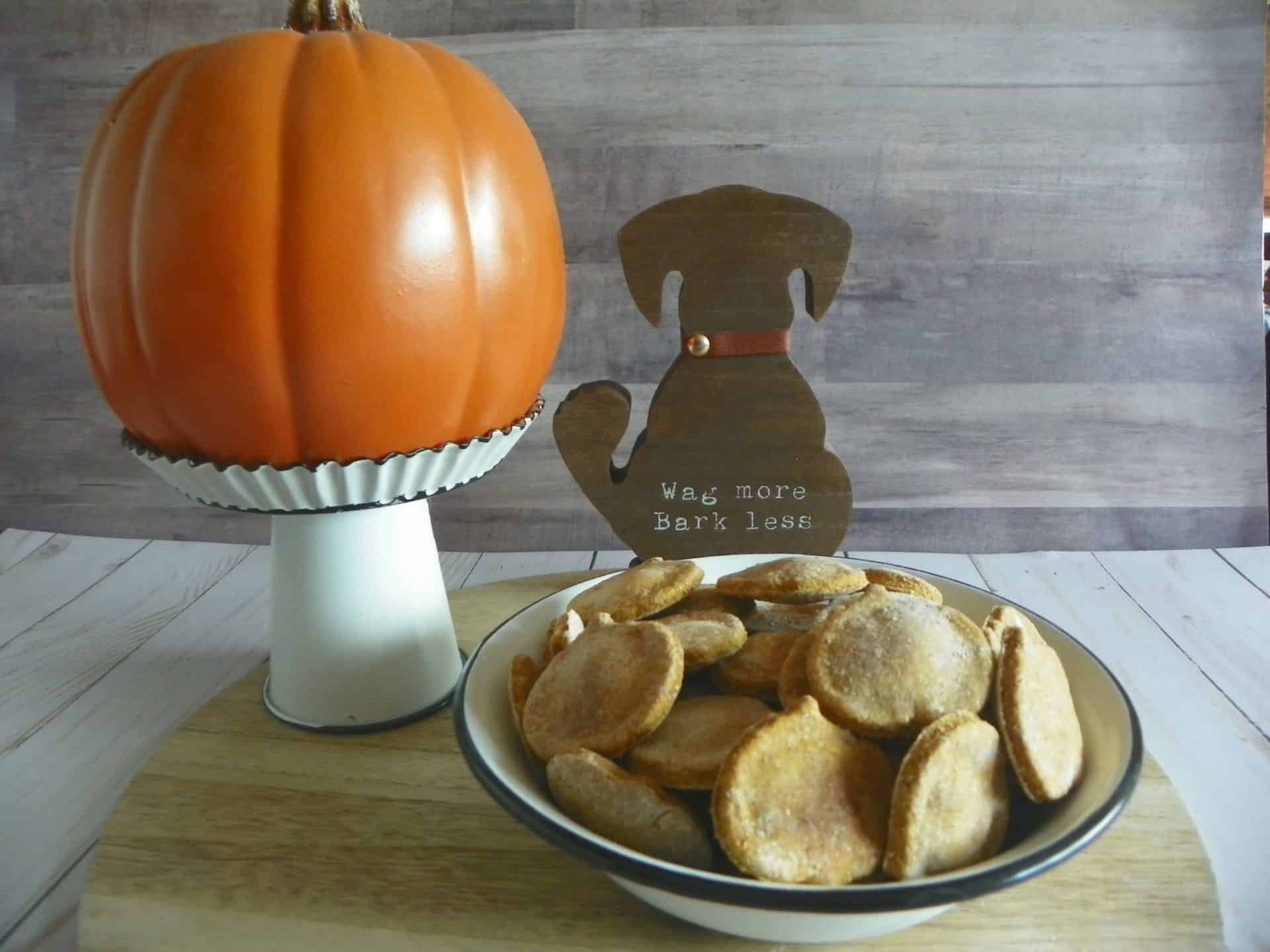 Perfectly Pumpkin Fall Dog Treats Pumpkin Dog Treat Recipe