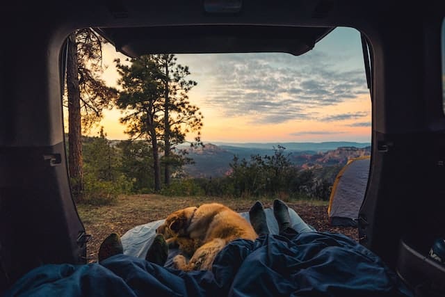 How to Have the Best Camping Trip with Your Dog camping with dogs tips