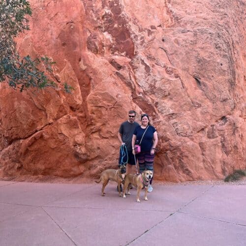 Start Here walking a nervous dog - image of Roxy & Rico in Garden of The Gods