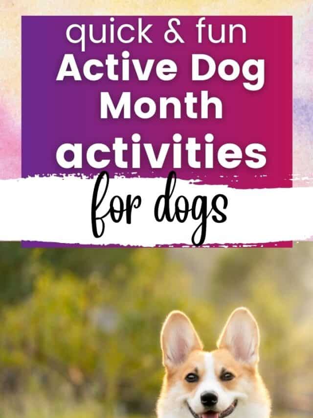 Quick Active Dog Month Activities for Dogs!