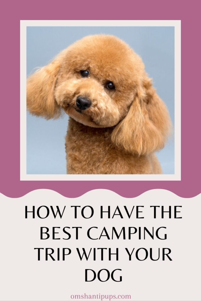 How to Have the Best Camping Trip with Your Dog How To Have The Best Camping Trip With Your Dog Pink 683x1024